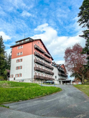 Prokop, Zelezná Ruda